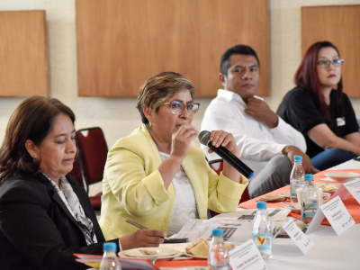Presenta SIPINNA Puebla acciones en materia de prevención del trabajo infantil - 31 de octubre de 2022